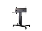 HP Lift Mobile - Liftsystem mobil - 55-100 Zoll - VESA ma