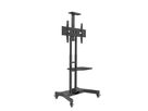 HP Twin Stand - Standsystem mobil - 32-55 Zoll - inkl. A