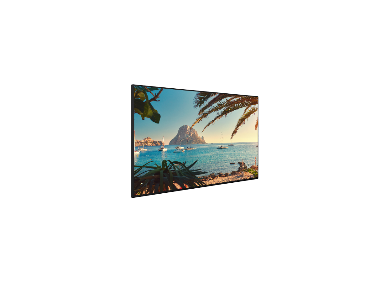 QF65 - Display 65", 16/7, 500cd, UHD