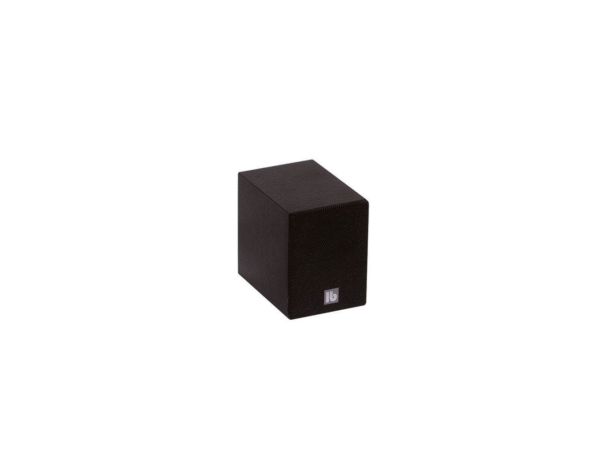 S 2 T schwarz - Satelliten-Lautsprecher, 100 V