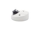 IPMX-W20F-IRW2 - IP Dome Camera - 2MP,  IP In/Out, Vandal Dome. Fixed