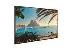 QF65 - Display 65", 16/7, 500cd, UHD