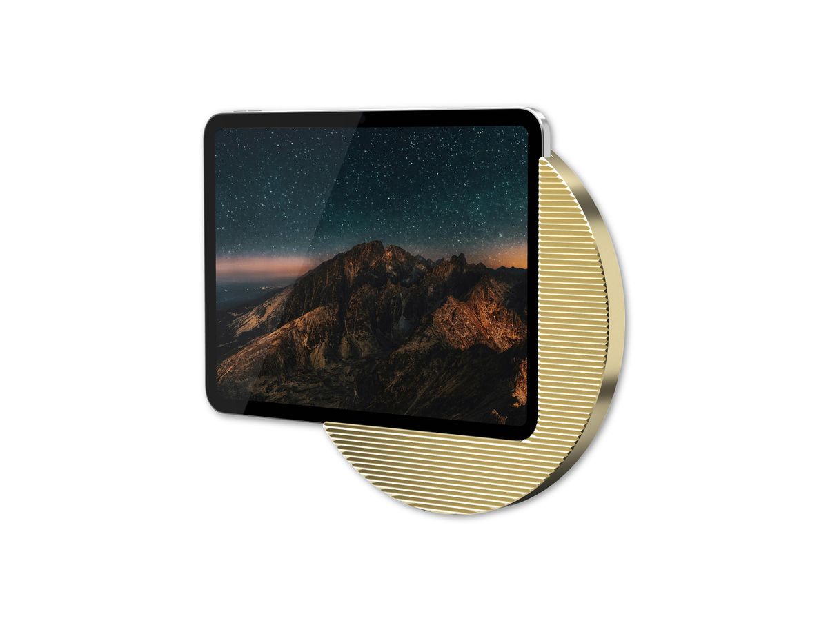 Moonlight Gold - iPad Pro 11'' (2024)