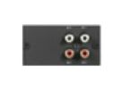 4 x IN-CINCH - Input-Modul 4 x Line in unsymmetrisch, C