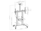BrackIT Stand Single XXL HD - Standsystem mobil - 65-120 Zoll - inkl.