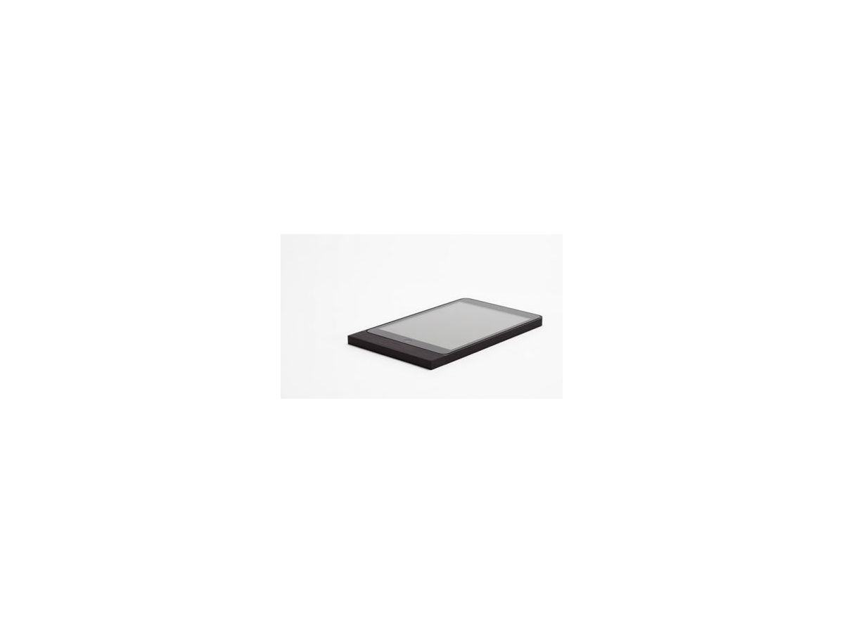 621-03 - Front Eckig iPad mini