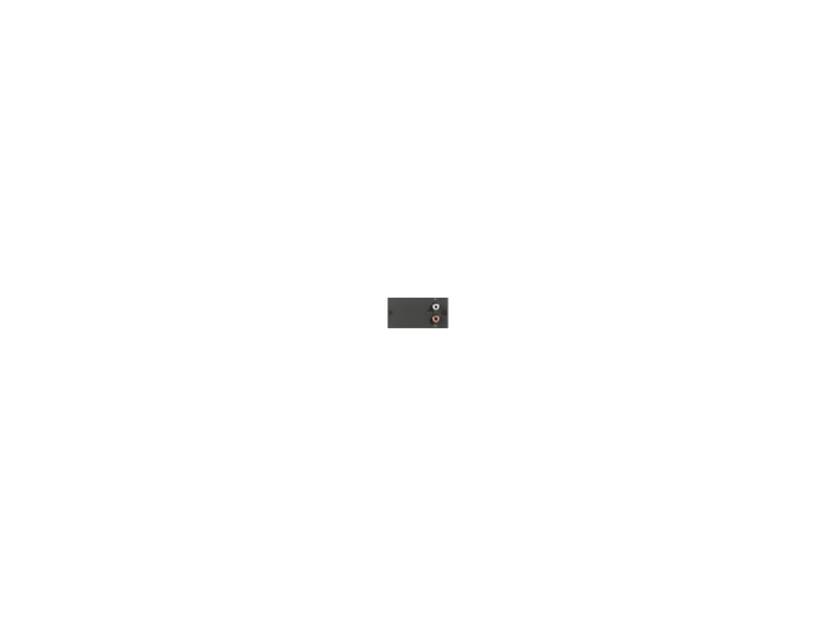 2 x IN-CINCH - Input-Modul 2 x Line in unsymmetrisch, C
