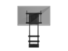 e-Box II Wall - Wandlift, höhenverstellbar, 200Kg