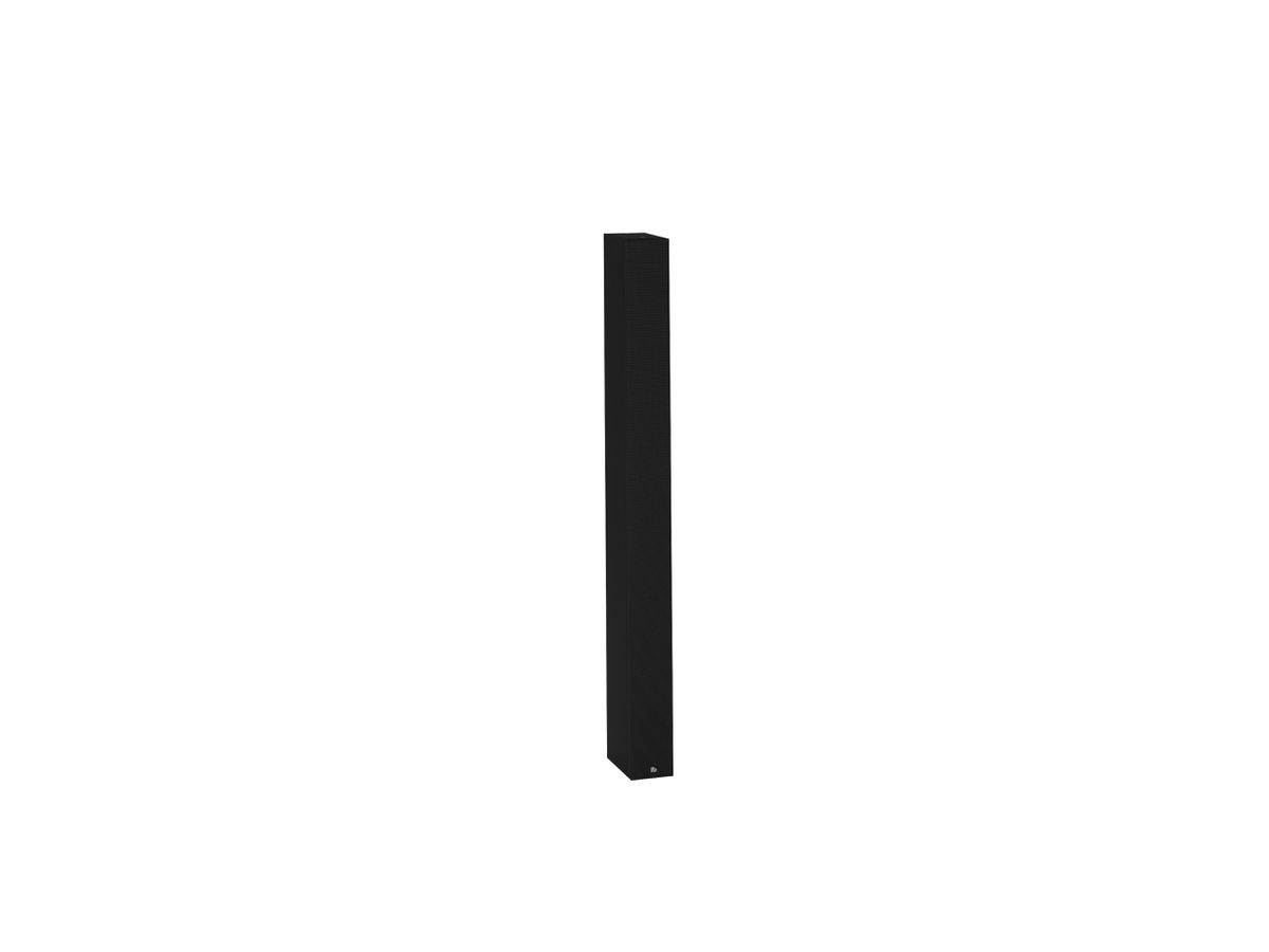ZL 100 T schwarz - Line Array, 100 V