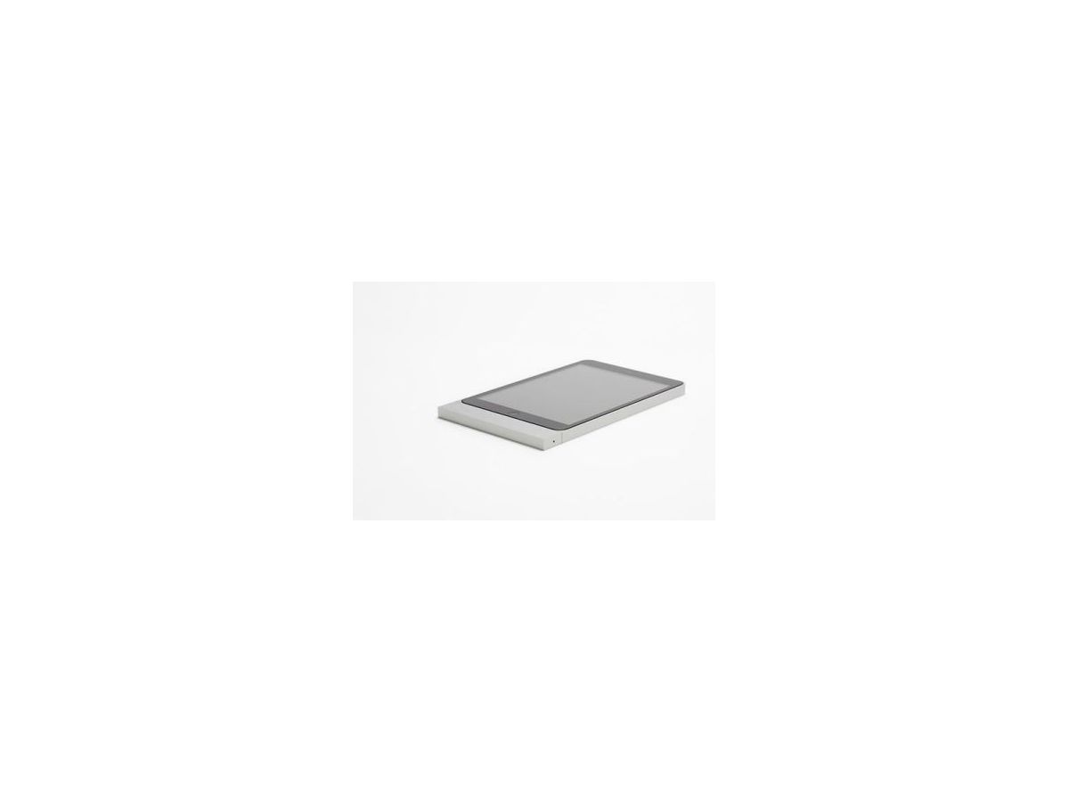 621-01 - Front Eckig iPad mini