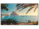 QF65 - Display 65", 16/7, 500cd, UHD