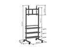 PB 175 - Display-Wagen 175 cm, Schwarz