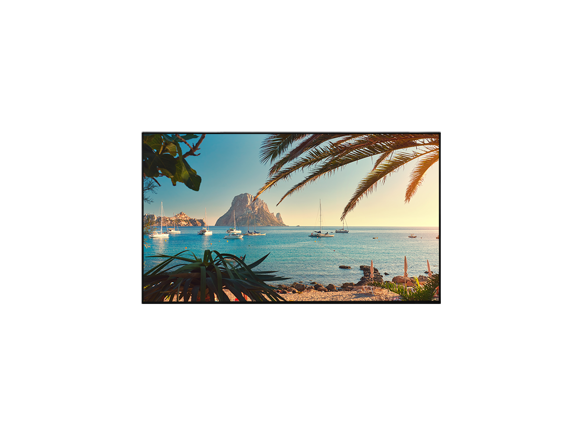 QF65 - Display 65", 16/7, 500cd, UHD